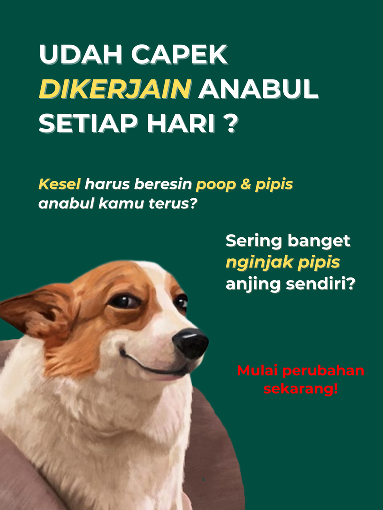 Course 7 Days Potty Training